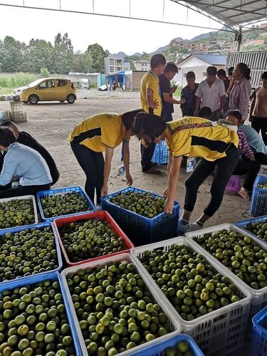 贵阳的天天快递咋挣钱的