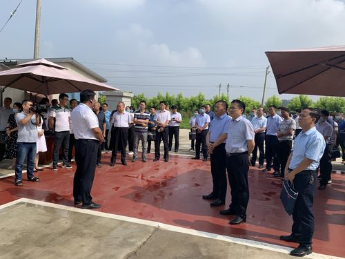 漯河召陵区天天快递在哪