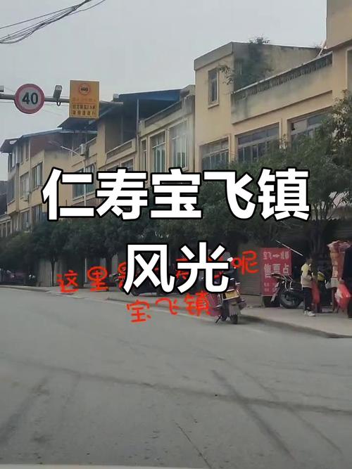 天天快递仁寿宝飞镇哪里