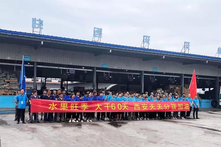 陕西省天天快递总部电话