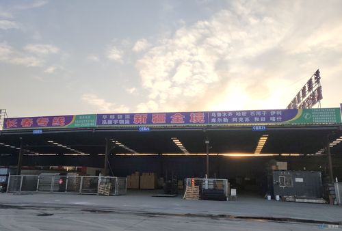 沈阳多吉物流公司电话