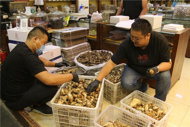 京东甘孜康定运营部电话