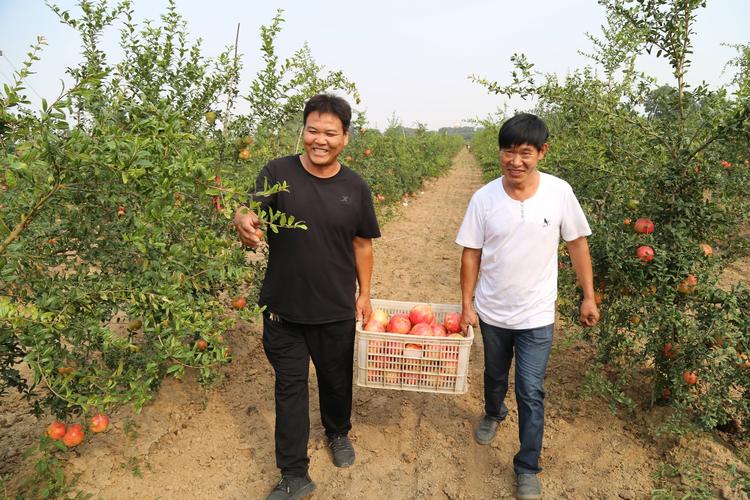 巩义鲁庄有没有天天快递