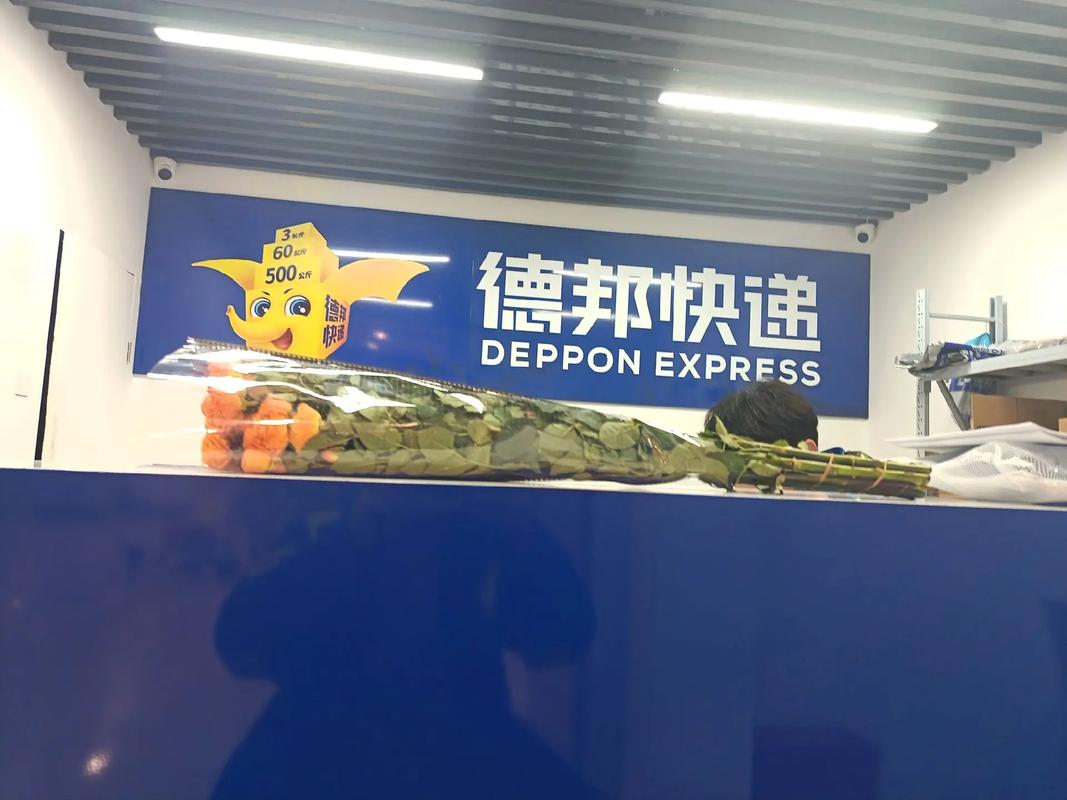 深圳华南城德邦物流中心